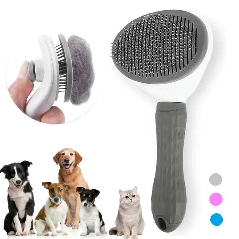 PetCare